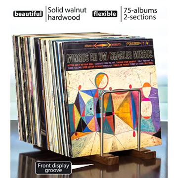 Stylish Vinyl Record Storage Holder for 75 LPs