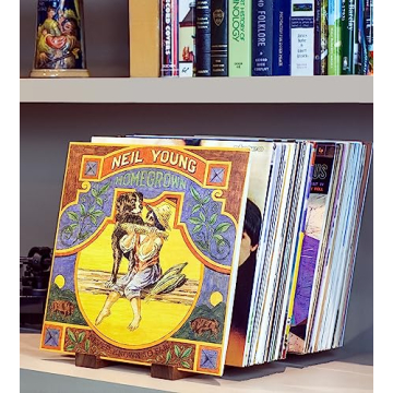 Stylish Vinyl Record Storage Holder for 75 LPs