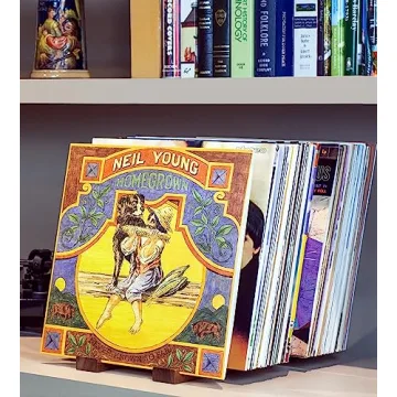 Stylish Vinyl Record Storage Holder for 75 LPs