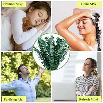 30 Pcs Dried Preserved Eucalyptus Stems Shower Bundle, 9oz 17" Natural Fresh Eucalyptus Plant, Real Eucalyptus Leaves Branches for Shower Vase Filler, Dried Flowers Arrangement Home Decor