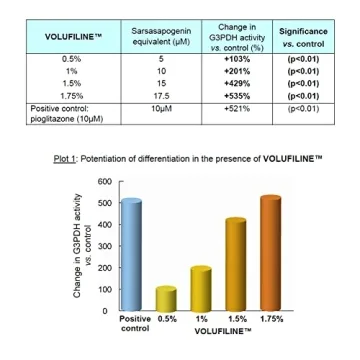 Volufiline 10ml Cosmetic Ingredient for Natural Volume