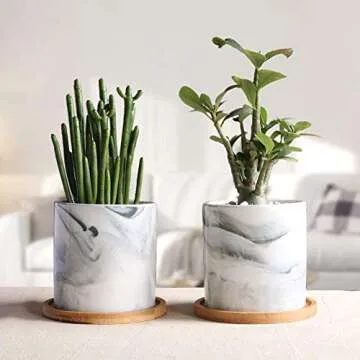 Eco-Friendly SQOWL Bamboo Plant Saucers for Indoor Plants