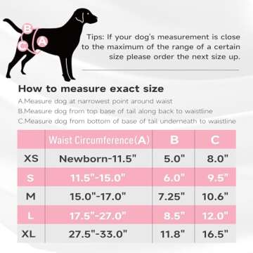 Paw Legend Washable Reusable Female Dog Period Diapers for Heat Doggie Puppy Diapers for Female Dogs (3 Pack, Leopard, Large)