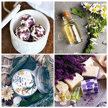 30 Natural Dried Flowers for Soap and Candle Making