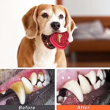 KXK Puppy Chew Toys - Puppy Teething Toys for Puppies - Durable Rubber Dog Toys for Small Breed Dogs...