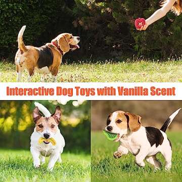 Durable Puppy Chew Toys for Small Breeds - KXK 3 Count