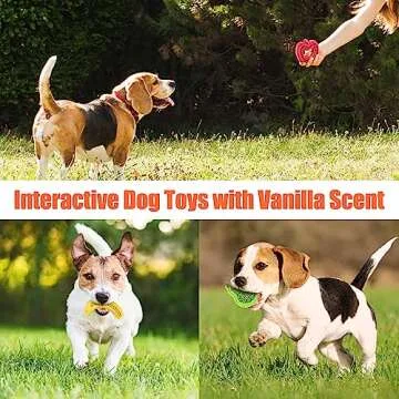 Durable Puppy Chew Toys for Small Breeds - KXK 3 Count