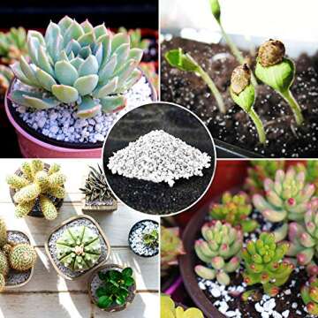 Organic Perlite for All Plants - Natural Soil Additive