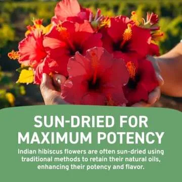 HANDPICK, Hibiscus Tea Bags (100 Tea Bags), 2g/Tea Bag | Caffeine-Free, 100% Natural Pure Indian Hibiscus Flowers | Rich in Antioxidants & Support Overall Health | Ayurvedic Benefits in every sip