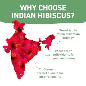 HANDPICK, Hibiscus Tea Bags (100 Tea Bags), 2g/Tea Bag | Caffeine-Free, 100% Natural Pure Indian Hibiscus Flowers | Rich in Antioxidants & Support Overall Health | Ayurvedic Benefits in every sip