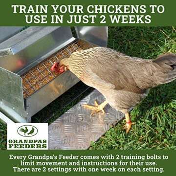 Grandpa's Feeders Automatic Chicken Feeder - Sturdy Galvanized Steel Poultry Feeders - No Spill with Weatherproof Lid - Standard Size for 6-12 Chickens 10 Days (20lb Feed)