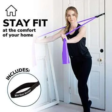 Resistance Bands for Working Out | 7Ft Long Resistance Bands | Exercise Bands with Carry Pouch and Door Anchor I Latex Free Workout Bands Including an Exclusive E-Book