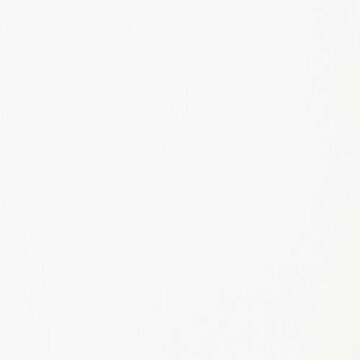 Liquitex BASICS Acrylic Paint for Vibrant Creativity