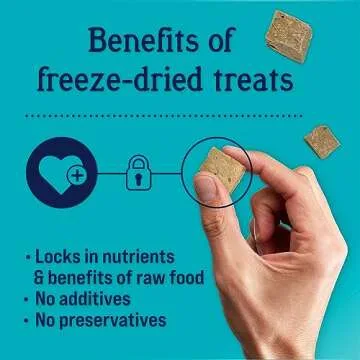 Stewart Single Ingredient Freeze Dried Raw Dog Treats, Beef Liver, 21 Ounce Value Size Resealable Tub, Training Treats or Meal Topper Dogs, High Protein, Grain-Free, Gluten-Free