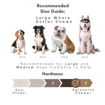 WhiteTail Naturals (3 Pack Deer Antlers for Large Dogs, Antler Dog Chews - Crafted in USA Dog Antler - Long Lasting Bone for Aggressive Chewers