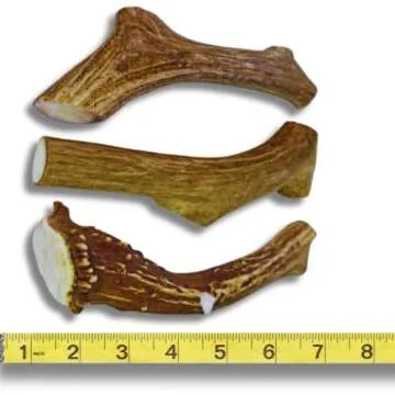 WhiteTail Naturals (3 Pack Deer Antlers for Large Dogs, Antler Dog Chews - Crafted in USA Dog Antler - Long Lasting Bone for Aggressive Chewers
