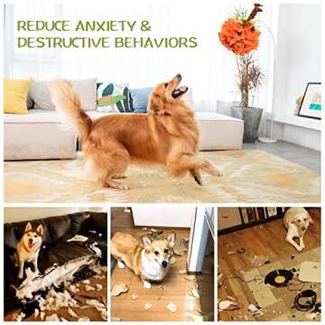 MINNIM Pumpkin Snuffle Ball for Dog, Snuffle Mat Interactive Dog Toys Ball Treat Dispensing Ball Puzzle Toy Training Ball Slow Feeding Educational Playing