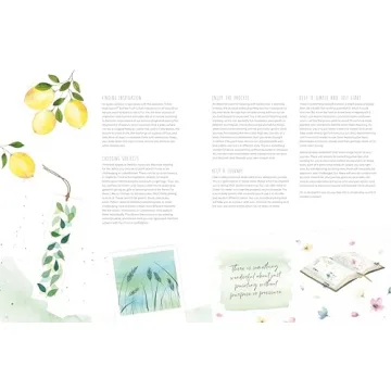 Watercolor For The Soul Beginner Painting Guide