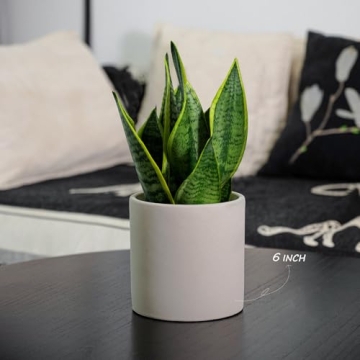 Durable JJF Plant Pots for Indoor and Outdoor Plants