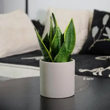 Durable JJF Plant Pots for Indoor and Outdoor Plants
