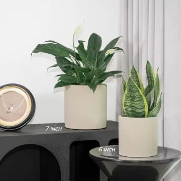 Durable JJF Plant Pots for Indoor and Outdoor Plants