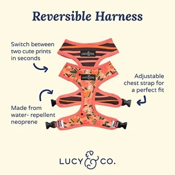 Lucy & Co. Reversible Dog Harness - Stylish & Comfortable Puppy Vest