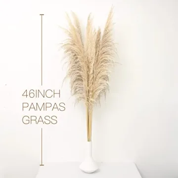 Pampas Grass 46 Inches Tall for Home & Events Decor