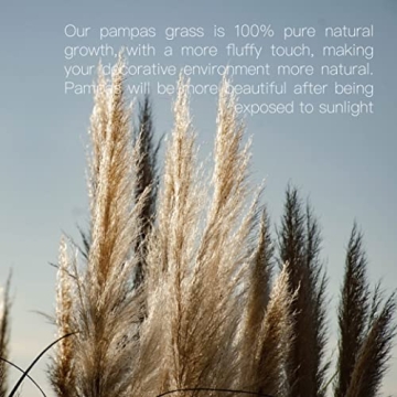 Pampas Grass 46 Inches Tall for Home & Events Decor