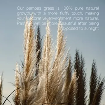 Pampas Grass 46 Inches Tall for Home & Events Decor
