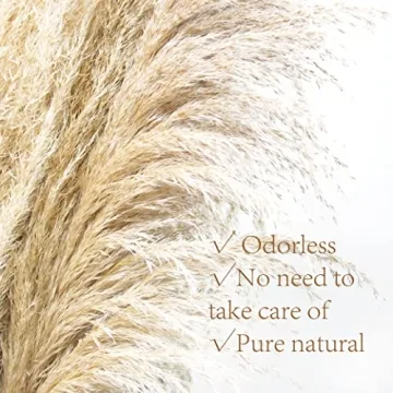 Pampas Grass 46 Inches Tall for Home & Events Decor