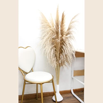 Pampas Grass 46 Inches Tall for Home & Events Decor