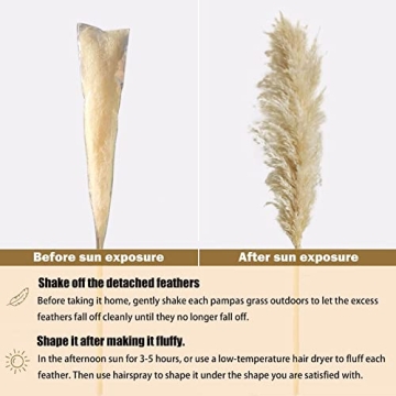 Pampas Grass 46 Inches Tall for Home & Events Decor
