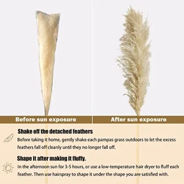 Pampas Grass 46 Inches Tall for Home & Events Decor