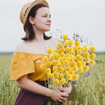 Natural Dried Billy Balls for Floral Arrangements