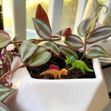 Safari Ltd. Dinos Fun Pack - Mini Figures of Dinosaurs - Educational Toy Set for Boys, Girls, and Kids Ages 5+