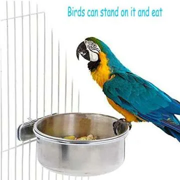 PINVNBY Parrot Feeding Cups Durable Stainless Steel Bowls