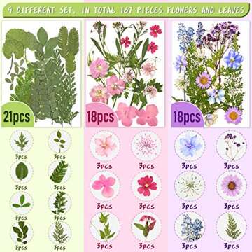 Nuanchu 167 Pcs Real Dried Pressed Flowers Natural Dried Flowers Colorful Daisy Mixed Wildflowers Leave for DIY Candle Resin Nails Jewelry Pendant Crafts Floral Art(Fresh Color)