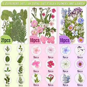 Nuanchu 167 Pcs Real Dried Pressed Flowers Natural Dried Flowers Colorful Daisy Mixed Wildflowers Leave for DIY Candle Resin Nails Jewelry Pendant Crafts Floral Art(Fresh Color)