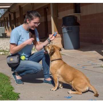 Starmark Pro-Training Clicker for Effective Dog Training