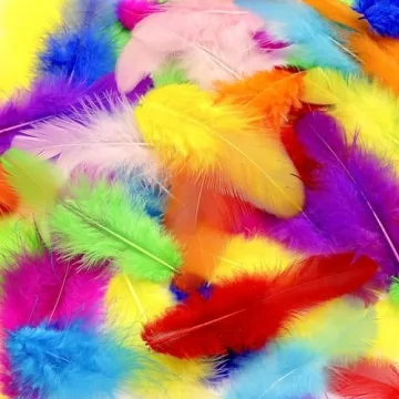 800Pcs Colorful Craft Rooster Feathers 3-5-inch Bulk Feathers for Crafting Kindergarten DIY Crafts, ...