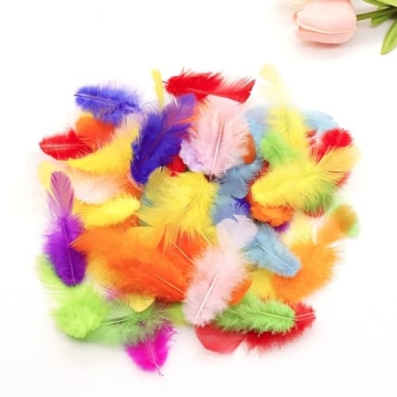 Vibrant 800Pcs Colorful Rooster Craft Feathers for DIY