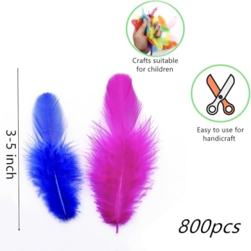 Vibrant 800Pcs Colorful Rooster Craft Feathers for DIY