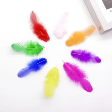 Vibrant 800Pcs Colorful Rooster Craft Feathers for DIY