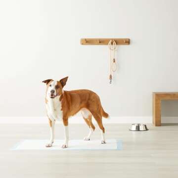 Giant Absorbent Puppy Pee Pads - Pack of 30 - Leak-Proof Design