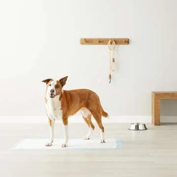 Giant Absorbent Puppy Pee Pads - Pack of 30 - Leak-Proof Design
