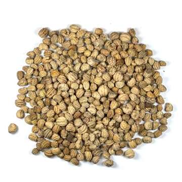 Seed Needs, 1.5 Ounce 350+ Nasturtium Seeds “Jewel Mixture (Tropaeolum nanum) Edible Blooms, Non-GMO, Easy to Grow, Mixed Colors Flower Seeds Mix, Attracts Pollinators - Bulk