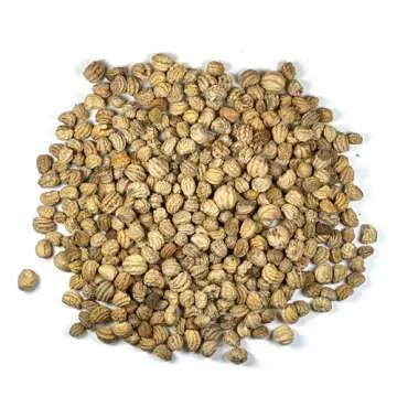 Seed Needs, 1.5 Ounce 350+ Nasturtium Seeds “Jewel Mixture (Tropaeolum nanum) Edible Blooms, Non-GMO, Easy to Grow, Mixed Colors Flower Seeds Mix, Attracts Pollinators - Bulk