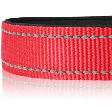 Joytale Reflective Dog Collar Adjustable Comfort and Safety