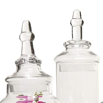 MyGift Clear Glass Apothecary Jars Set of 3 Decorative Containers