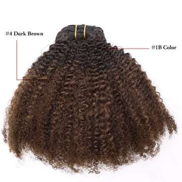 Ombre Remy Clip in Human Hair Extensions Afro Kinky Curly 4B 4C Natural Black Hair Extensions 10-22 ...